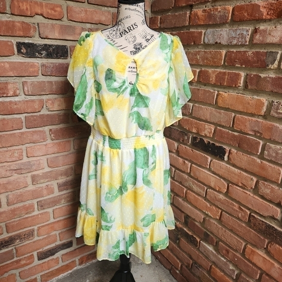 DKNY Flutter-Sleeve Clip-Dot Smock-Waist Dress Size 12 NWT - Picture 4 of 15